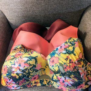 Lot of 3 Cacicque Comfort Bliss No-Wire bras in EUC size 44F